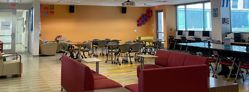 An image of the main study area in the center