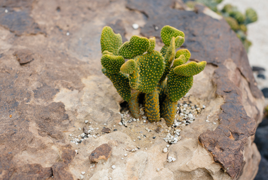 This image was taken from the CMS gallery. It's an image to represent the recursos block.